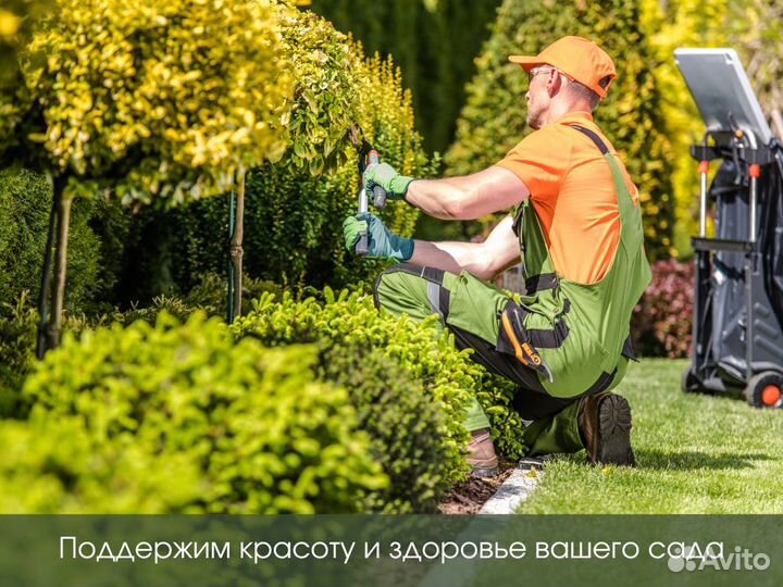 Посадка растений