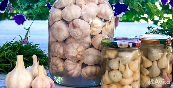 Маринованный чеснок оптом