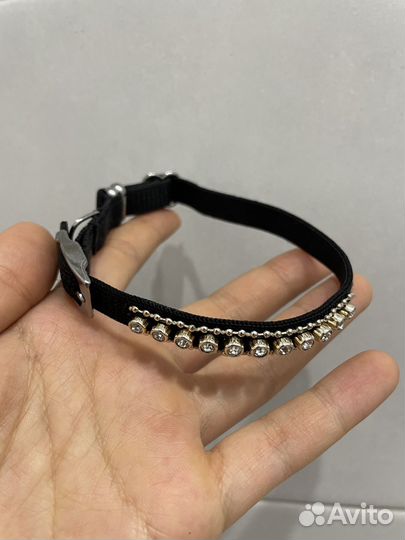 Ошейник для маленьких собак и кошек