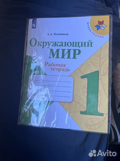 Рабочая тетрадь окружающий мир плешаков 1 класс