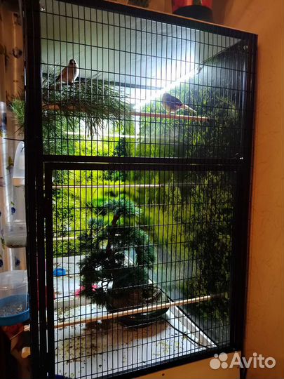 Клетка вольер для птиц