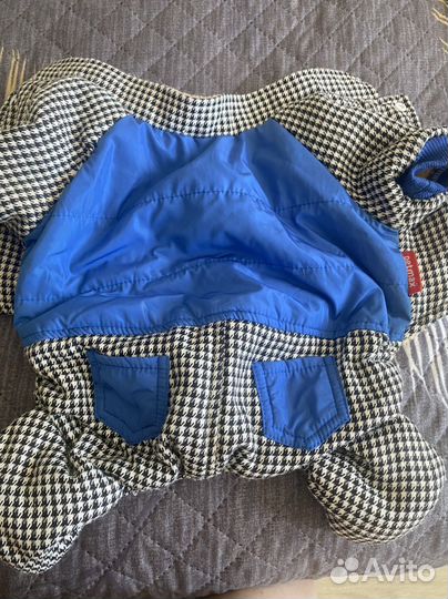 Костюм зимний для собаки мальчика