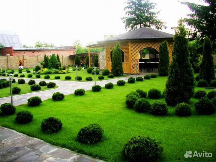 Рулонный газон, укладка, продажа