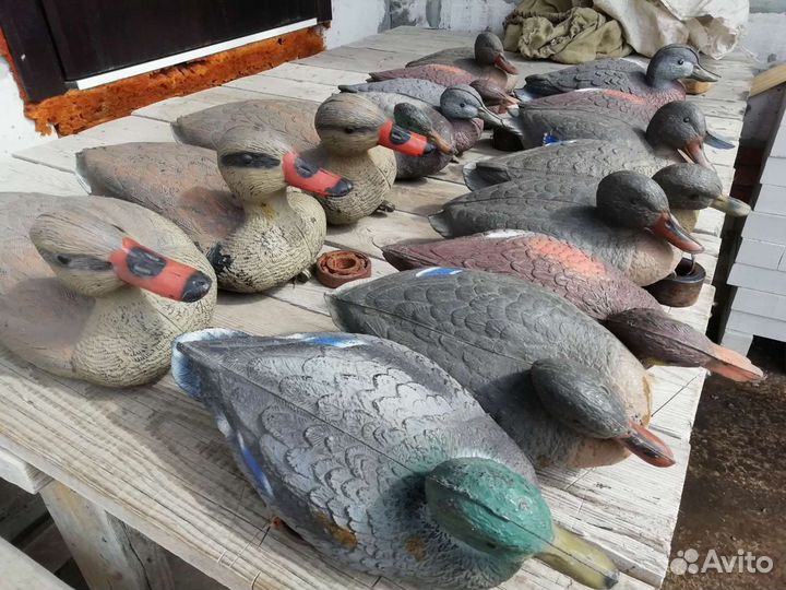 Чучела уток 16шт