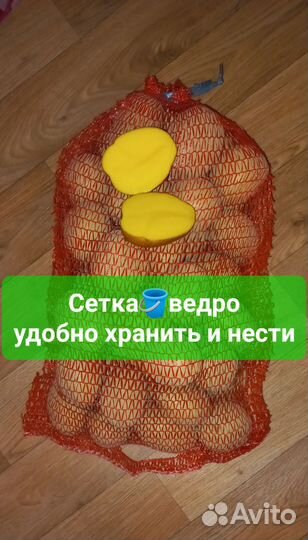 Картошка семенная сверхурожайные сорта