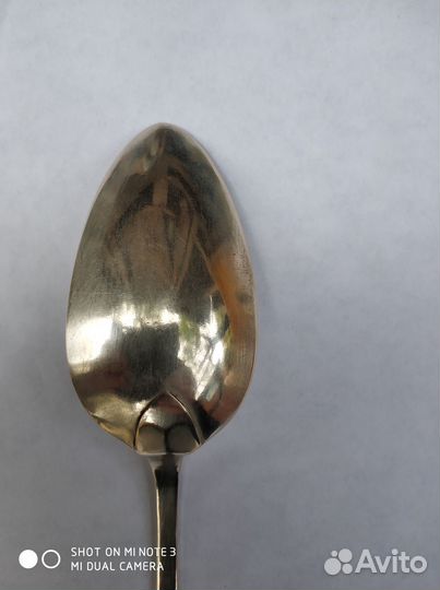 Серебряная ложка столовая