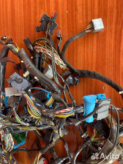 Жгут проводов панели приборов Ford Focus 2 седан