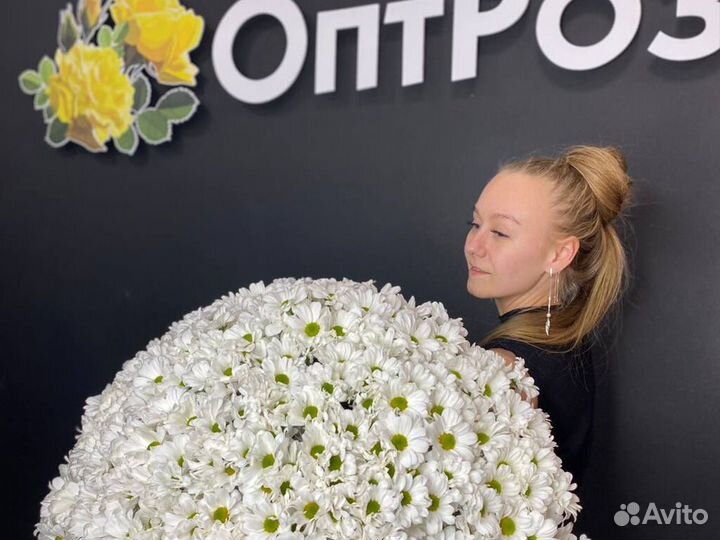 Букет 101 хризантема Доставка цветов хризантем 15
