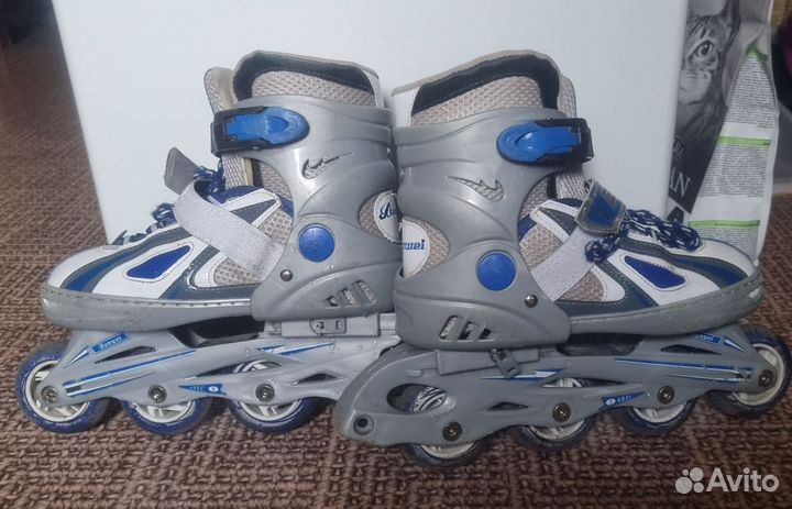 Роликовые коньки