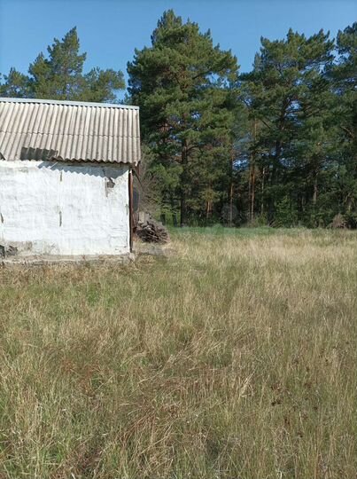 Участок 5 сот. (СНТ, ДНП)