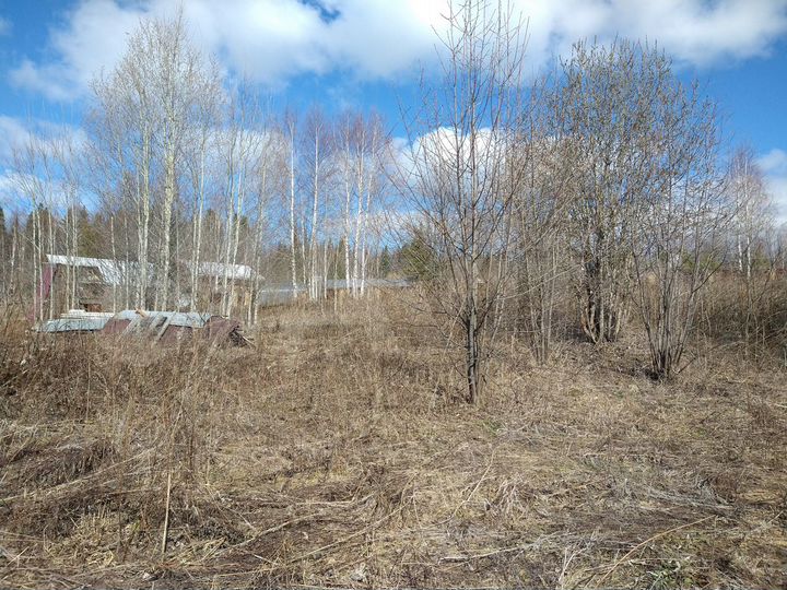 Участок 16 сот. (СНТ, ДНП)