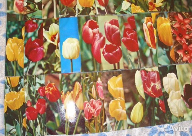 Набор цв. открыток 