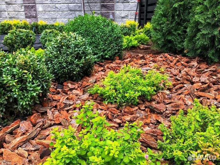 Мульча из коры Сибирской лиственницы