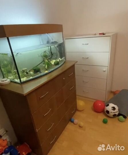 Аквариум 100 литров