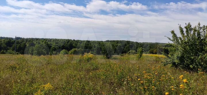 Участок 10,81 га (СНТ, ДНП)