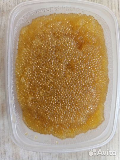 Свежая речная рыба