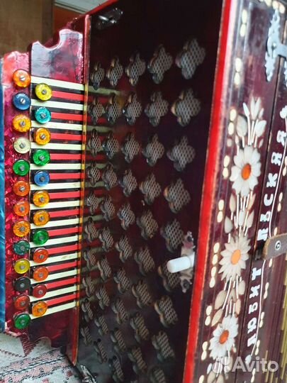 Гармонь Любительская