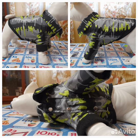 Костюм для маленькой собаки