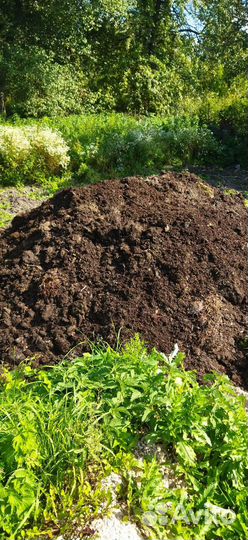 Кампост из под шампиньонов. Перегной коровий