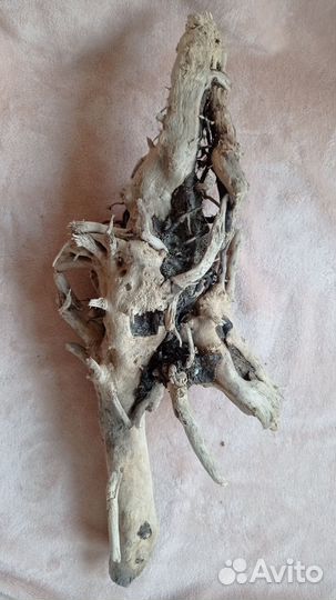 Коряги для аквариума, террариума, серпентариума