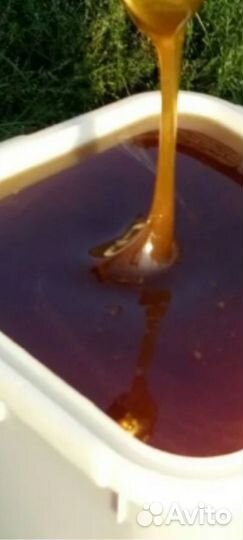 Мед Разнотравье опт 2023г доставка по РФ