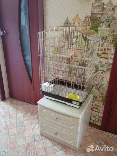 Клетка для попугая карелла