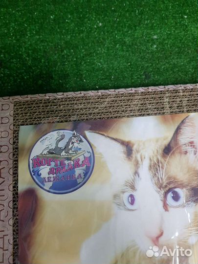 Когтеточка-лежанка