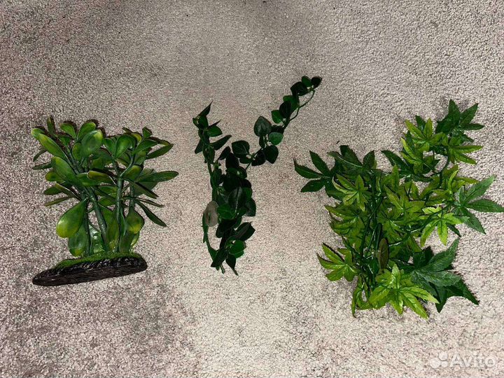 Террариум для рептилий