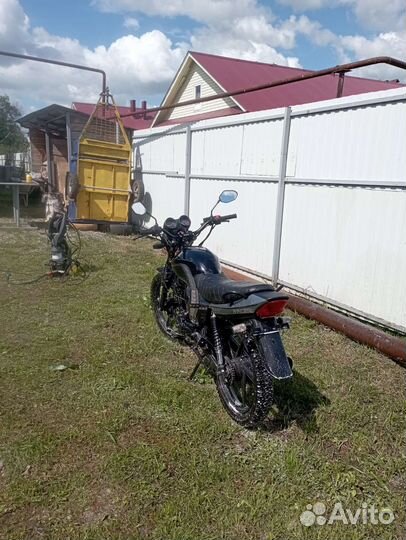 Racer Tiger 150-23