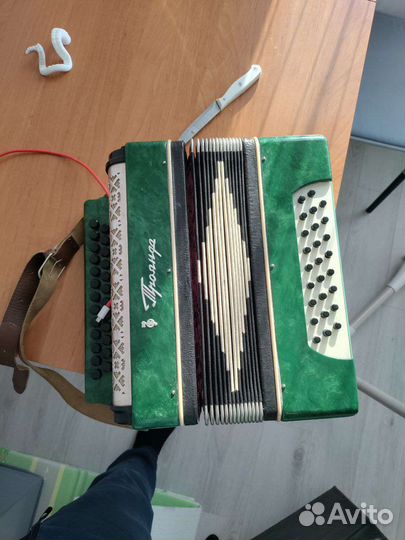 Гармонь троянда