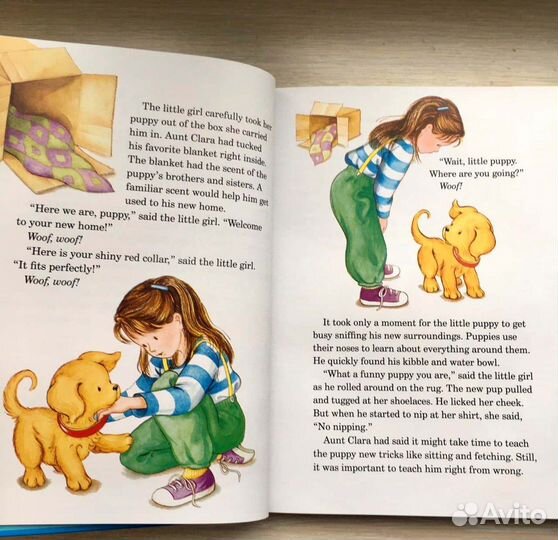 Сборник историй про собачку Бискита /Biscuit