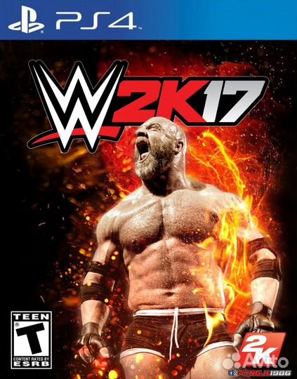 Игра для PS4 W2K17
