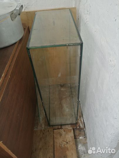 Домашние животные