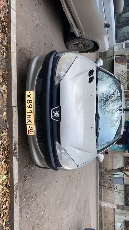 Peugeot 206: фото владельца