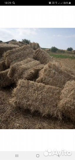 Сено,солома