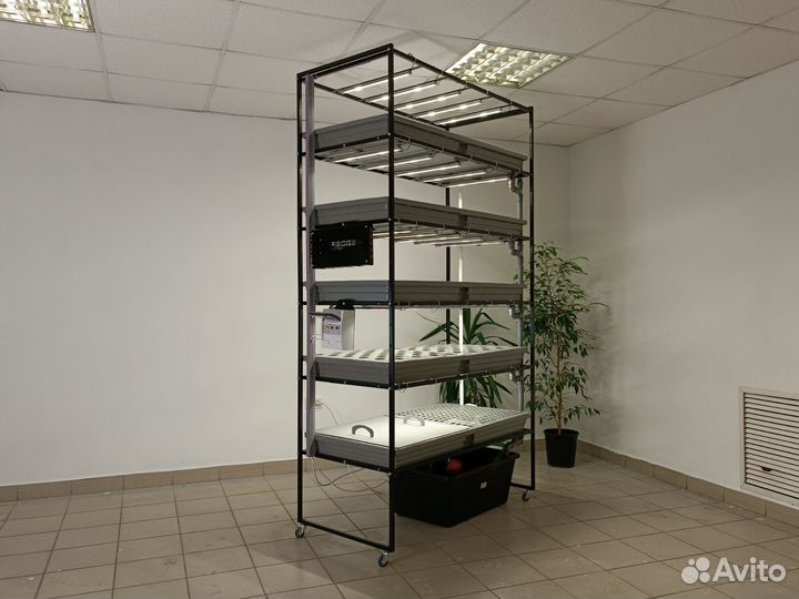 Оборудование для выращивания микрозелени. Бизнес