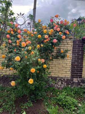 Дача 30 м² на участке 4 сот.