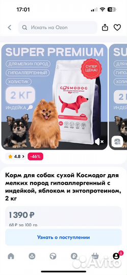 Сухой корм для собак