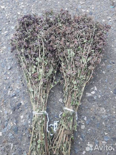 Веники для бани