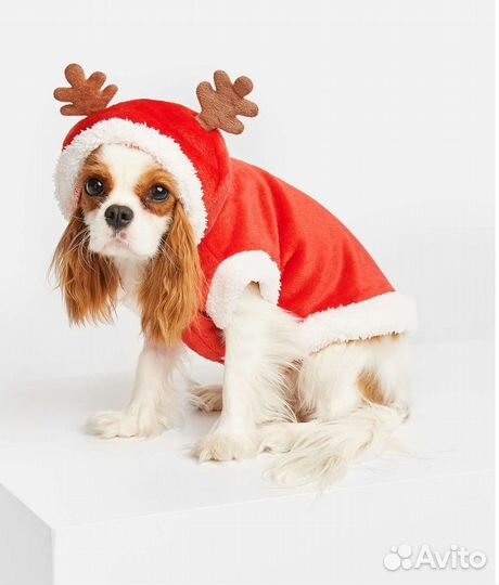 Кофта для собаки