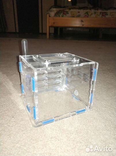 Муравьиная ферма без муравьев