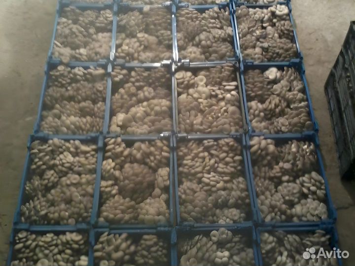 Инвестиции