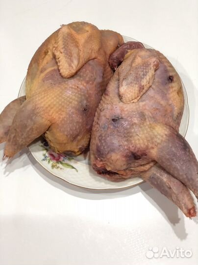 Мясо фазана