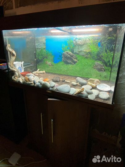 Аквариум Juwel rio 125