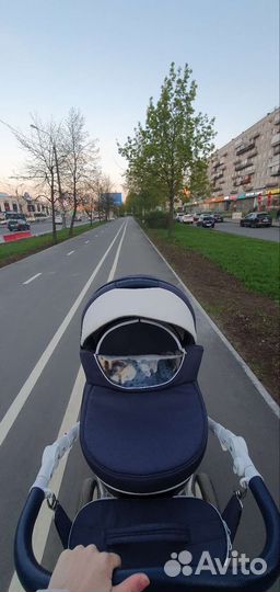 Коляска adamex 3 в 1