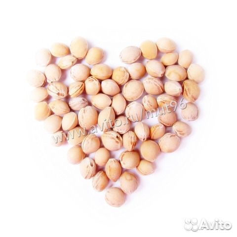 Крошка Мишка с вишневыми косточками