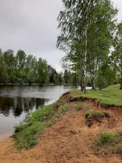 Участок 6 сот. (ИЖС)