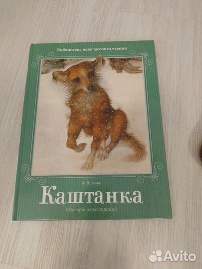 Каташтанка апчехов