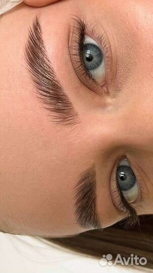 Обучение на бровиста