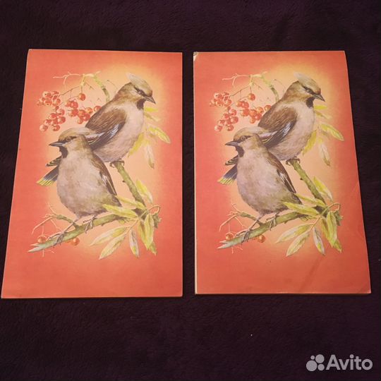 Блокнот СССР